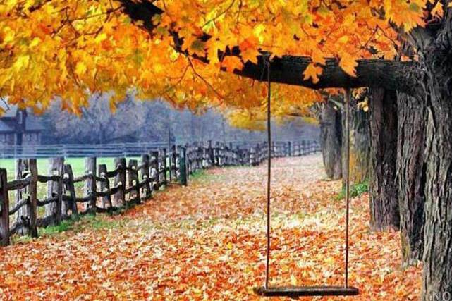 تصاویر زیبا از پاییز هزار رنگ در سراسر جهان,عکس پاییز,تصاویری از پاییز