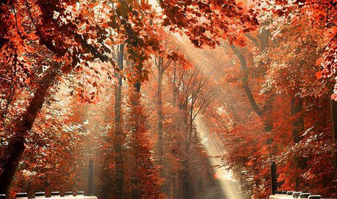 تصاویر زیبا از پاییز هزار رنگ در سراسر جهان,عکس پاییز,تصاویری از پاییز