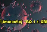 ویروس کرونا,شیوع سویه جدیدی از کرونا به نام ایکس‌بی‌بی‌ در سنگاپور