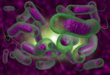 باکتری,پوشش مسی جدید