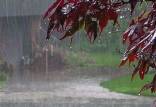 بارش باران,نواحی شمالی کشور