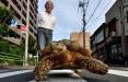 پیاده‌روی یک پیرمرد با حیوان غول‌پیکرش,حیوان غول پیکر یک پیرمرد ژاپنی