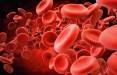 گروه خونی,کشف یک گروه خونی نادر و جدید