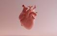 بیماری قلبی,مرگ سالیانه ۱۸.۶ میلیون نفر به دلیل بیماری قلبی
