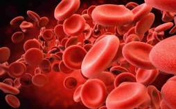 گروه خونی,کشف یک گروه خونی نادر و جدید