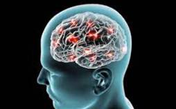 بیماری آلزایمر,مرگ سلولهای مغزی
