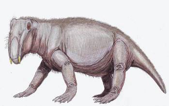 فسیل خوک,خوک در دوران دایناسورها