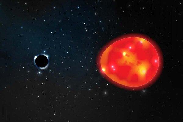 سیاهچاله,کشف سیاهچاله ای ۱۰برابر بزرگ تر از خورشید در نزدیکی زمین