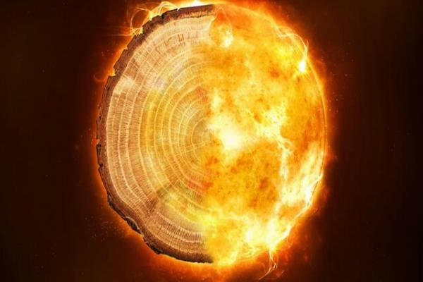 بزرگترین طوفان کیهانی,پیش‌بینی خطرناک‌ترین طوفان خورشیدی با حلقه‌های تنه درختان