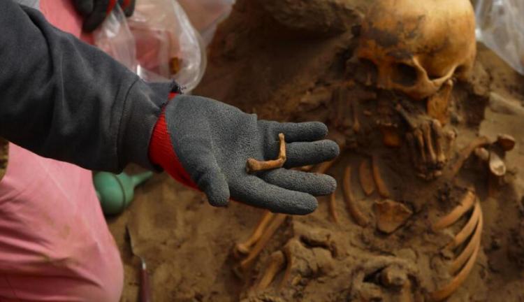 تصاویر کشف اتفاقی یک گورستان ۸۰۰ ساله مربوط به دوران پیش از کلمبیا,عکس های یک گورستان ۸۰۰ ساله مربوط به دوران پیش از کلمبیا,تصاویر گورستانی در کلمبیا