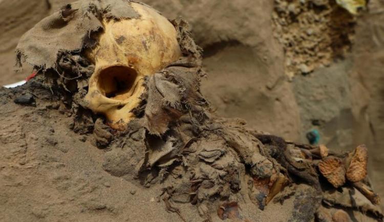 تصاویر کشف اتفاقی یک گورستان ۸۰۰ ساله مربوط به دوران پیش از کلمبیا,عکس های یک گورستان ۸۰۰ ساله مربوط به دوران پیش از کلمبیا,تصاویر گورستانی در کلمبیا