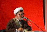محمد تقی فاضل‌میبدی,اظهارات جنجالی