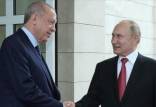 ولادیمیر پوتین رئیس‌جمهور روسیه و اردوغان,انتقال غلات از اوکراین به روسیه