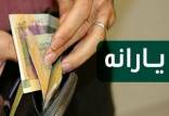 سخنگوی سازمان هدفمندسازی یارانه‌ها, اطلاعات پایگاه رفاه ایرانیان