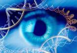 ژن درمانی,درمان نابینایی مادرزادی با ژن‌درمانی