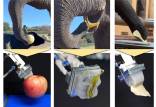 دست رباتیک,ساخت نخستین دست رباتیکی در جهان با تقلید از خرطوم فیل
