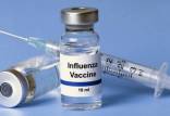 واکسن آنفلوانزا,اولویت تزریق واکسن آنفلوانزا