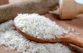 مصرف برنج خارجی در روستا‌های شمال کشور,قیمت برنج ایرانی