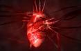 تشخیص سکته قلبی با نانو سنسور,سکته قلبی