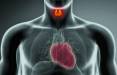 سرطان تیروئید,افزایش خطر ابتلا به بیماری قلبی در افراد مبتلا به سرطان تیروئید