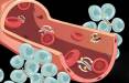 باکتری,ابداع باکتری‌های مغناطیسی برای کاشت داروهای ضد سرطان به داخل تومورها