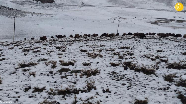 تصاویر بارش برف در آغری و قارص ترکیه,عکس های بارش برف در ترکیه,تصاویر بارش برف در روستاهای ترکیه