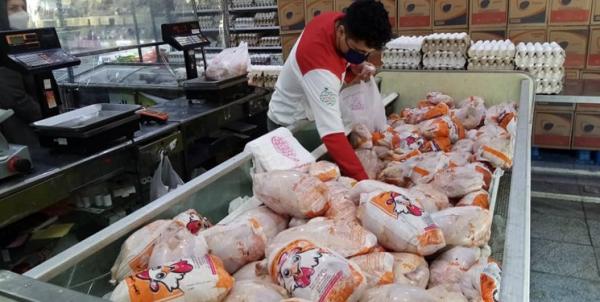 صادرات برای گوشت مرغ,آزادشدن صادرات مرغ