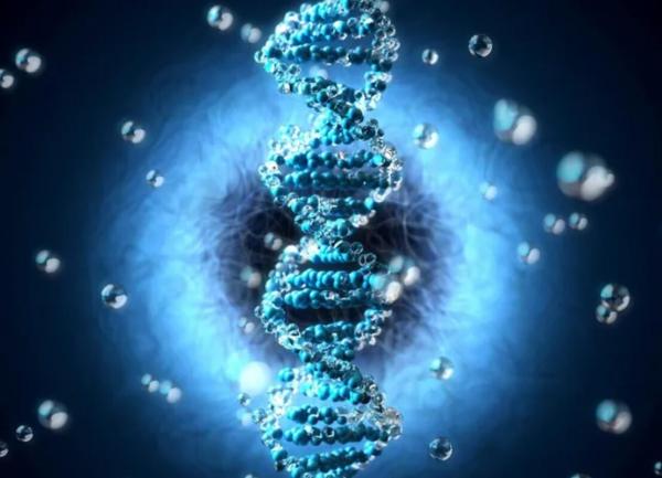 ژنوم,ابداع فناوری جدید برای تشخیص نقاط ضعف تکاملی ژنوم