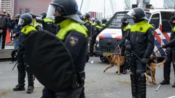 اعتراضات در بلژیک,شادی و شورش در بلژیک بعد از شکست از مراکش