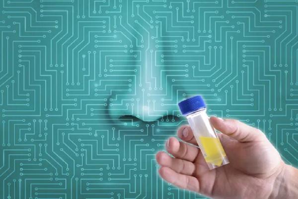 بینی الکترونیکی,ابداع بینی الکترونیکی با توانایی تشخیص سرطان پروستات از بوی ادرار