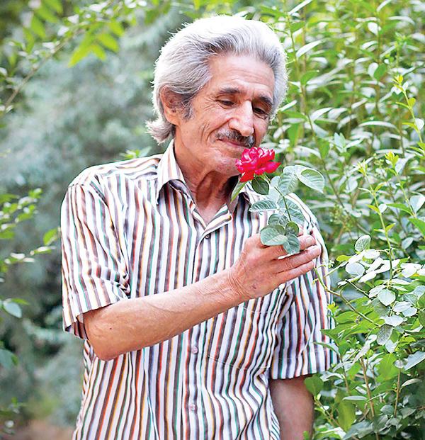 محمدعلی شیرازی,سلطان قلبها