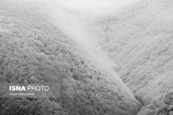 ارتفاعات گیلان,بارش برف