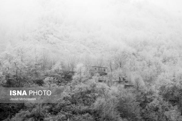 ارتفاعات گیلان,بارش برف