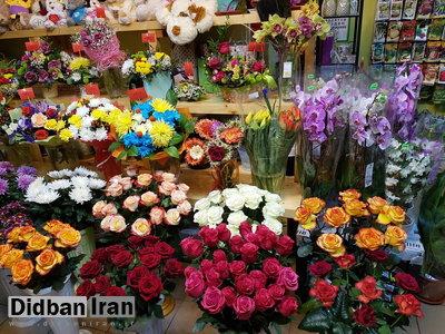 گل وگیاه,فروش آنلاین گل