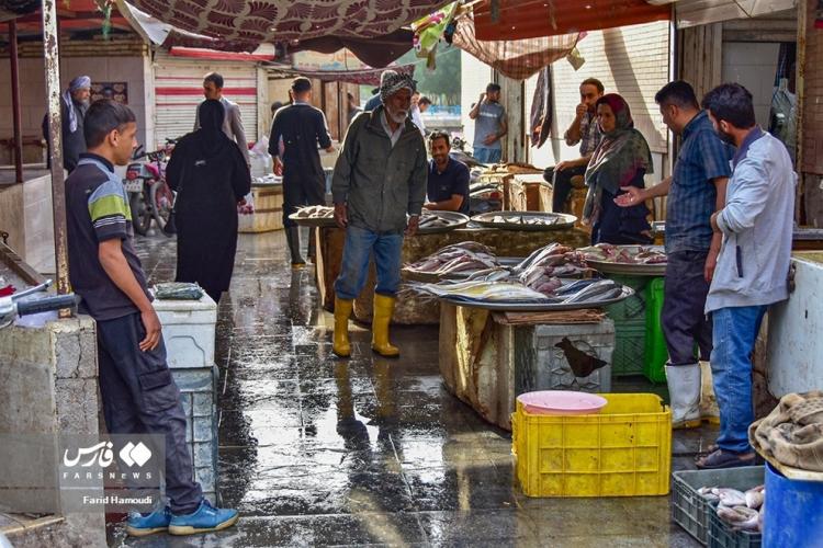 تصاویر بازار ماهی فروشان خرمشهر,عکس های بازار ماهی فروشان خرمشهر,تصاویری از بازار ماهی فروشان خرمشهر