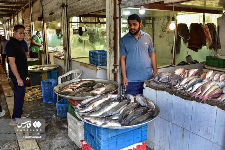 تصاویر بازار ماهی فروشان خرمشهر,عکس های بازار ماهی فروشان خرمشهر,تصاویری از بازار ماهی فروشان خرمشهر