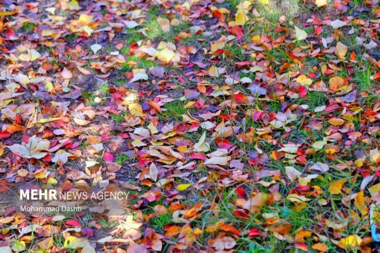 تصاویر پاییز در هیر,عکس های پایی در هیر اردبیل,تصاویری از پاییز در هیر