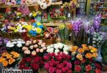 گل وگیاه,فروش آنلاین گل