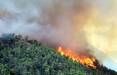 آتش سوزی جنگل هیرکانی, همه بخش های جنگل های هیرکانی در ثبت یونسکو