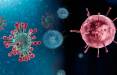 «آنفلوآنزا» و «کرونا»,ویروس تنفسی بین کودکان