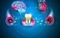 آبسه مغزی,ارتباط باکتری‌های دهان با ایجاد آبسه مغزی
