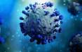 ویروس جدید امیکرون BF.7,ویروس کرونا