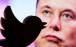 توییتر,انتقاد مکرون از ایلان ماسک برای تسهیل مقررات محتوا در توییتر