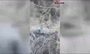 فیلم/ لحظه پیدا شدن توله‌یوزهای توران توسط دامدار سمنانی
