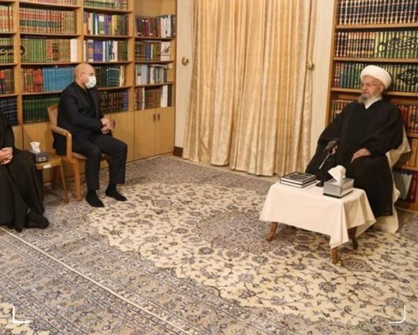 آیت‌الله مکارم شیرازی در دیدار با رئیس مجلس,نارضایتی مردم