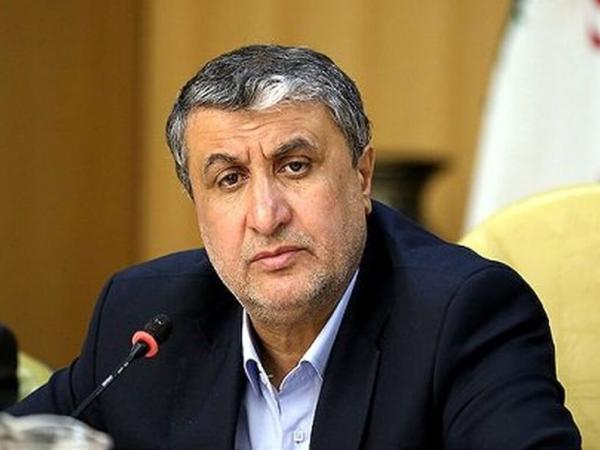 محمد اسلامی رئیس سازمان انرژی اتمی, سفر احتمالی مسئولان آژانس بین‌المللی اتمی به ایران
