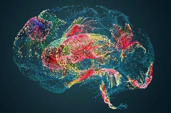 مغز,کشف لایه‌ای عجیب در مغز انسان