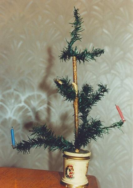 درخت کریسمس,قدمت قدیمی‌ترین درخت کریسمس در جهان