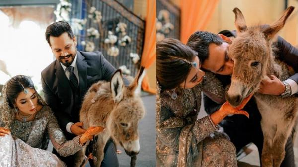 عروسی عجیب در پاکستان,هدیه عجیب داماد به همسرش در روز عروسی