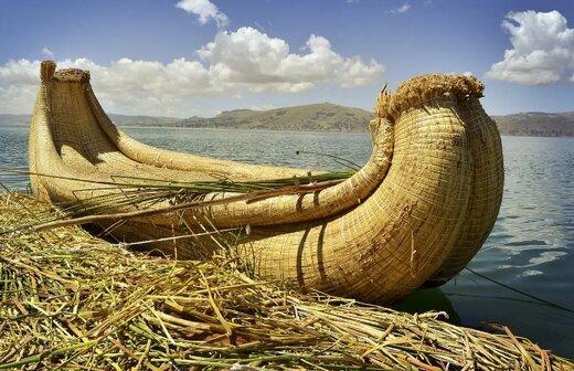 انسان اولیه,انسان های کهن